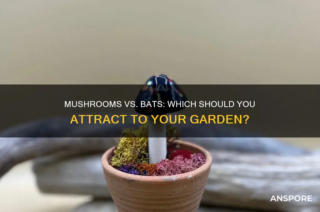 should i attract mushrooms or bats