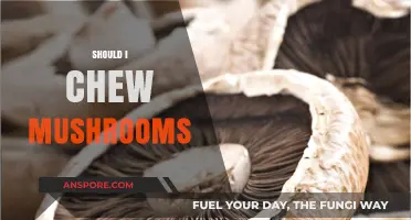 Chewing Mushrooms: Safe or Risky?