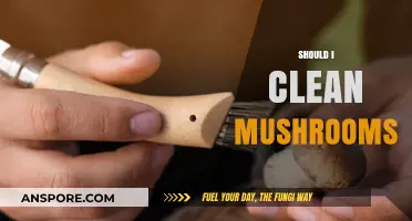Cleaning Mushrooms: To Wash or Not to Wash?