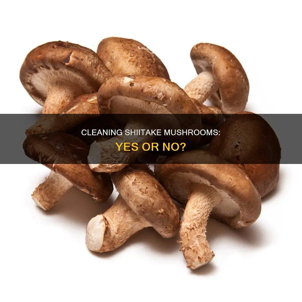 should i clean shiitake mushrooms