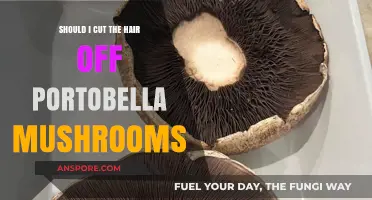 To Trim or Not: Should You Cut Portobello Mushroom Hair?