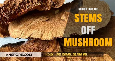 Should You Cut Mushroom Stems? Tips for Perfect Prep and Flavor