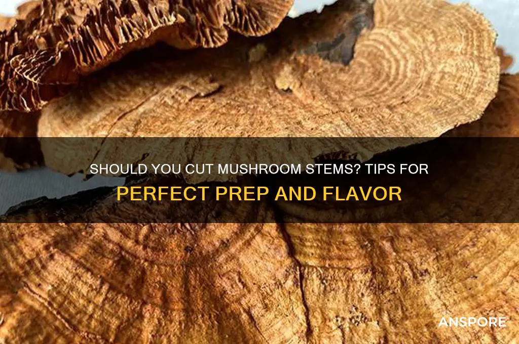 should i cut the stems off mushrooms