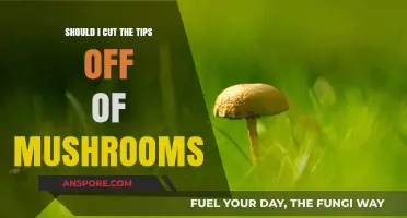 Should You Trim Mushroom Tips? A Culinary Debate Explored