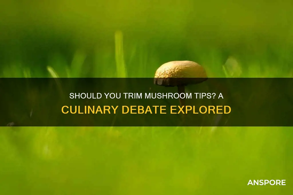 should i cut the tips off of mushrooms