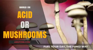 Acid vs. Mushrooms: Weighing Risks, Benefits, and Personal Choice