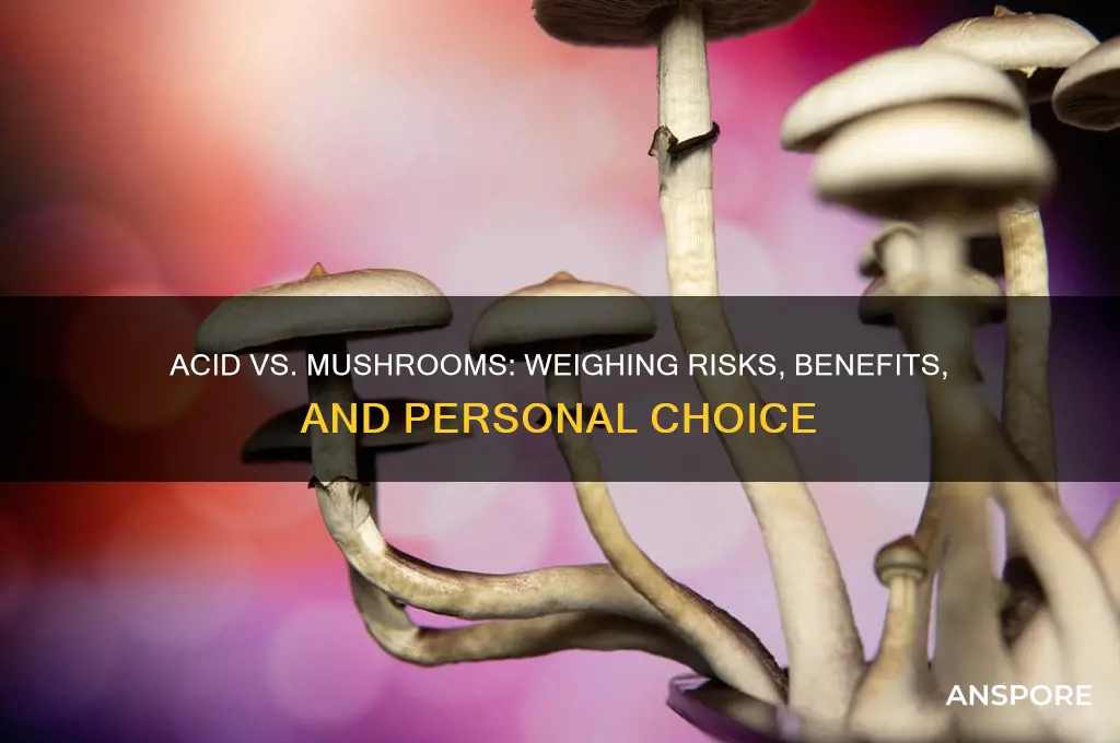 should i do acid or mushrooms