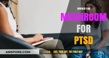 Exploring Psilocybin Therapy: Can Mushrooms Help Heal PTSD Symptoms?