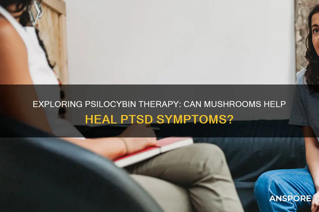 should i do mushrooms for ptsd
