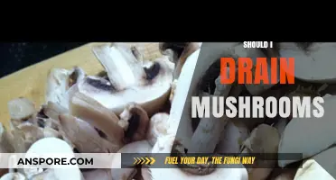 The Truth About Draining Mushrooms Before Cooking