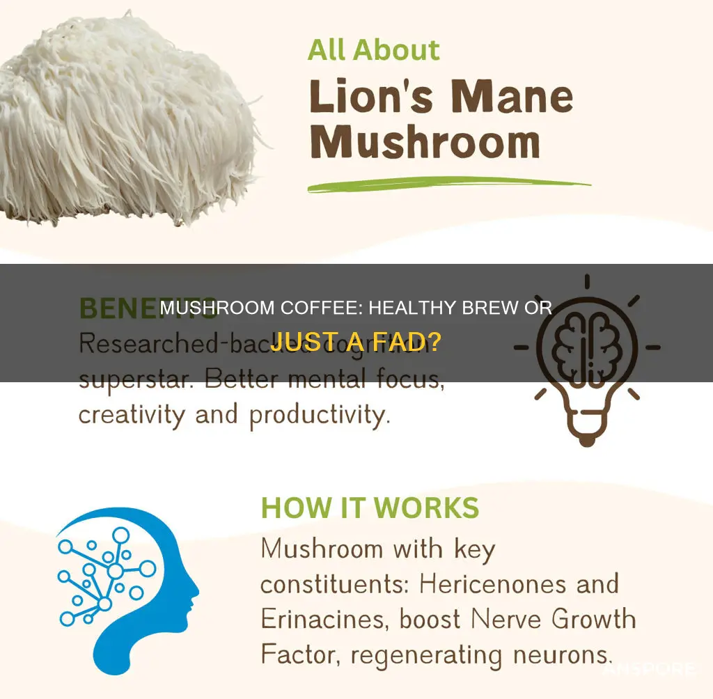 should i drink mushroom coffee