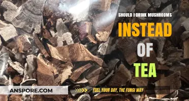 Mushroom Tea vs. Traditional Tea: Which Brew is Better for You?