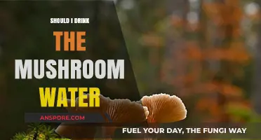Should You Drink Mushroom Water? Benefits, Risks, and Expert Advice