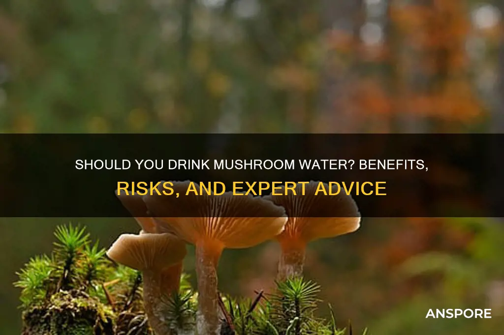 should i drink the mushroom water