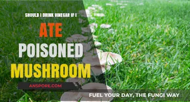 Poisoned Mushroom Emergency: Is Vinegar a Safe Remedy or Myth?