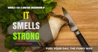 Strong-Smelling Shiitake Mushrooms: Safe to Eat or Toss Out?