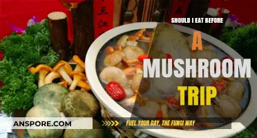 Pre-Trip Meals: Should You Eat Before a Mushroom Journey?