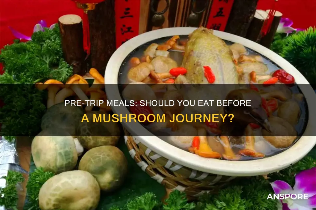 should i eat before a mushroom trip