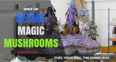 Should You Eat Before Magic Mushrooms? Pre-Trip Meal Tips