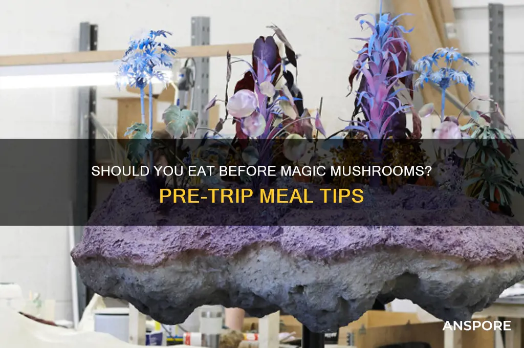 should i eat before magic mushrooms