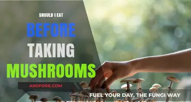 Should You Eat Before Taking Mushrooms? Pre-Trip Meal Tips