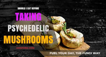 Should You Eat Before Taking Psychedelic Mushrooms? A Practical Guide