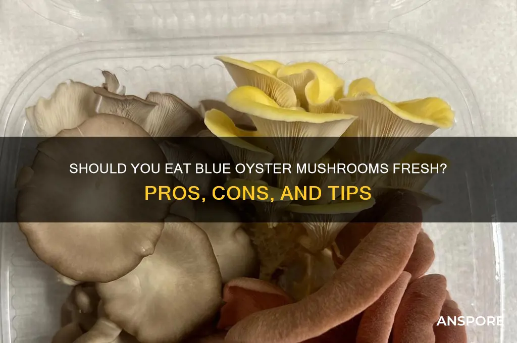 should i eat blue oyster mushrooms fresh