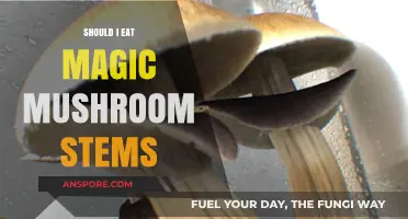 Magic Mushroom Stems: Safe to Eat or Better Left Behind?