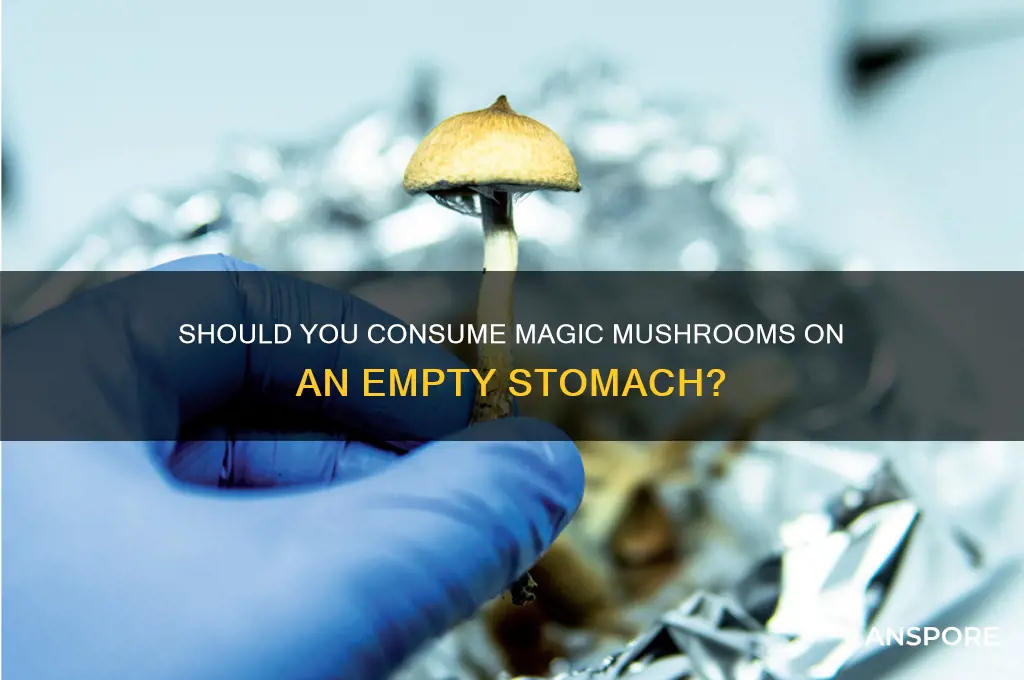 should i eat magic mushrooms on an empty stomach