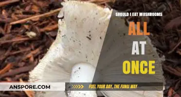 Should You Consume Mushrooms All at Once? Pros, Cons, and Risks