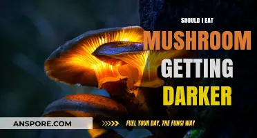 Are Darkening Mushrooms Safe to Eat? A Guide to Edibility
