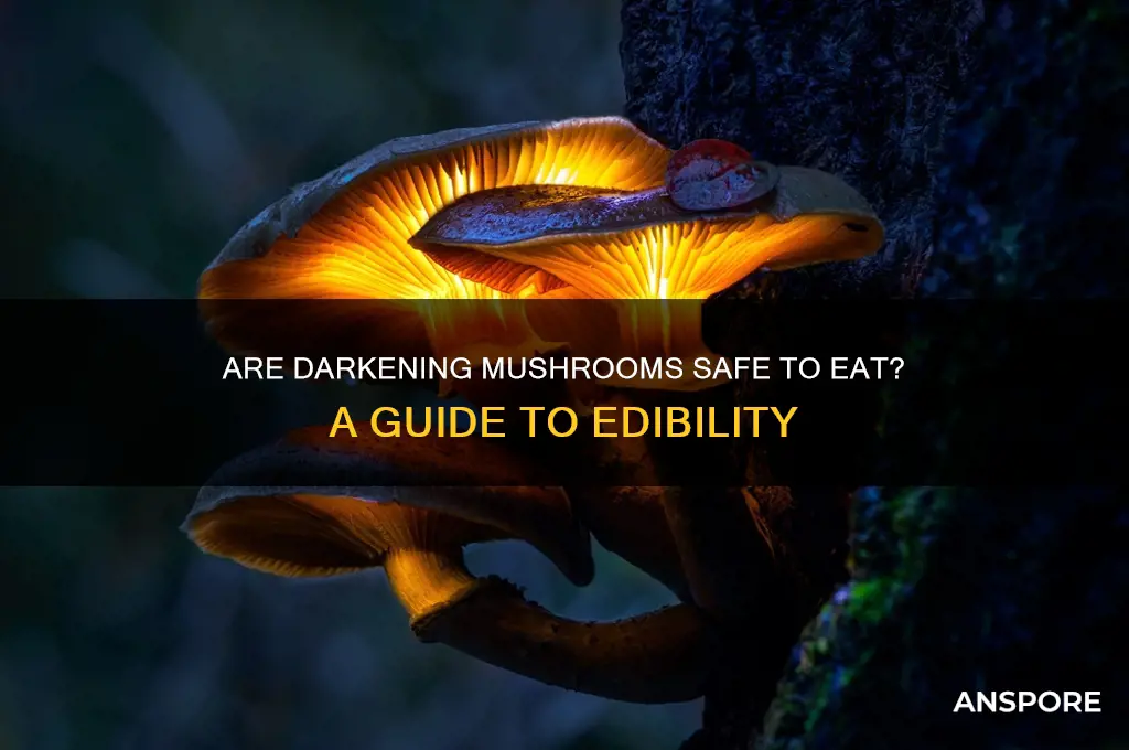 should i eat mushrooms getting darker
