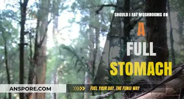 Full Stomach, Full Benefits: Should You Eat Mushrooms After Meals?