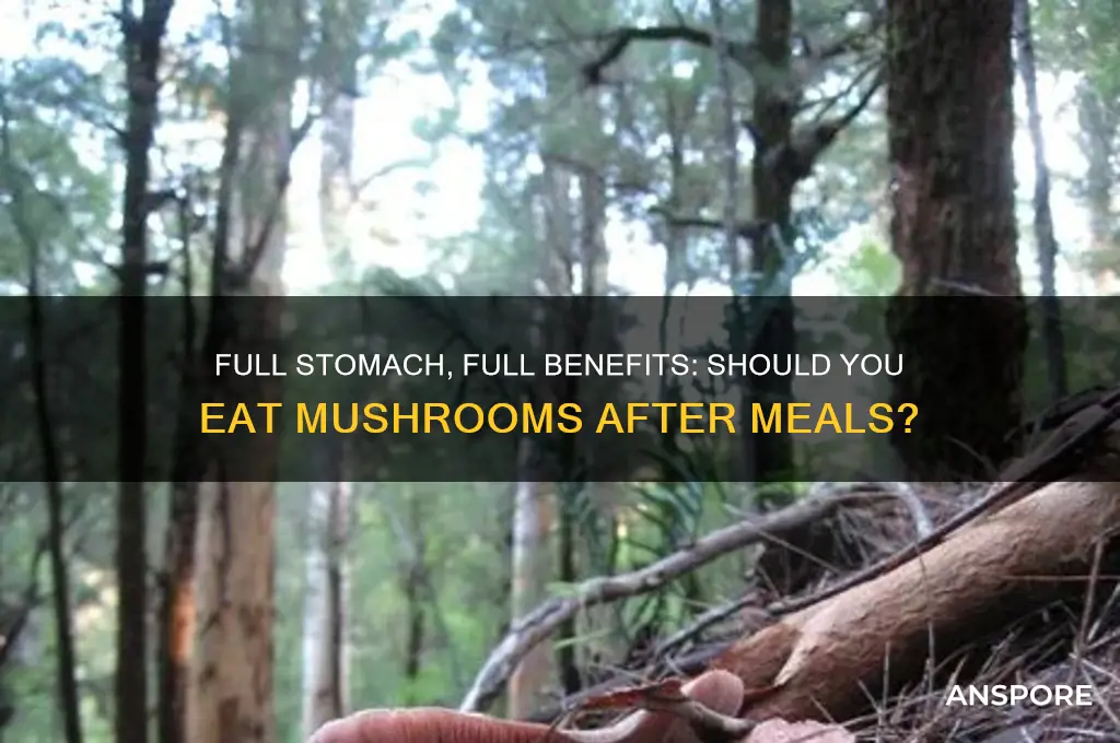 should i eat mushrooms on a full stomach