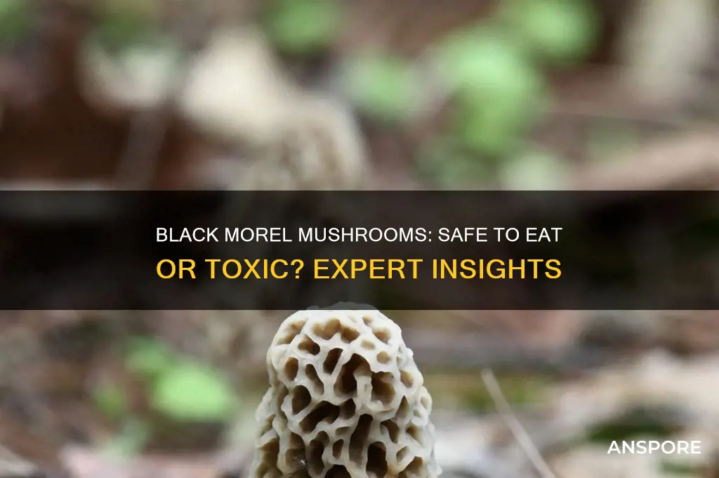 should i eat the morel mushroom if its black