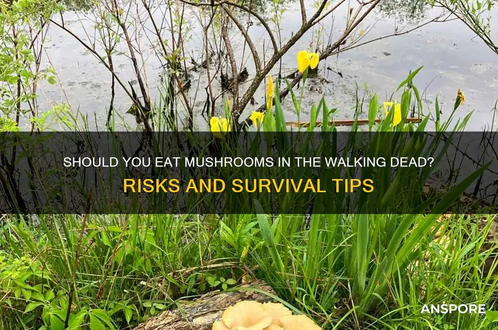 should i eat the mushroom walking dead