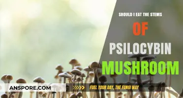 Can You Eat Psilocybin Mushroom Stems? Safety and Effects Explained