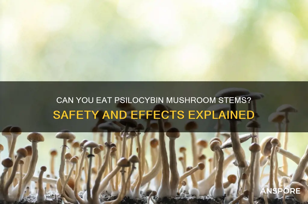 should i eat the stems of psilocybin mushrooms
