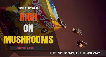 Mushroom High Munchies: Should You Eat While Tripping?
