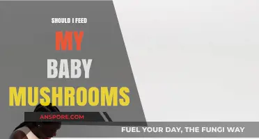 Mushrooms for Babies: Safe or Risky? Expert Advice for Parents