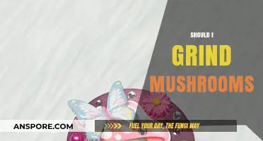 The Magic of Mushroom Powder: Why Grind Your Shrooms?