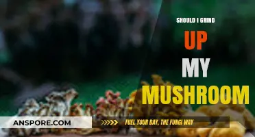Grind or Not? The Ultimate Guide to Preparing Mushrooms