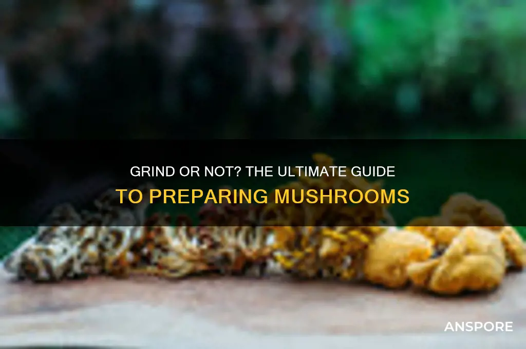 should i grind up my mushrooms