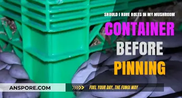 Holes in Mushroom Containers: Essential or Not Before Pinning?