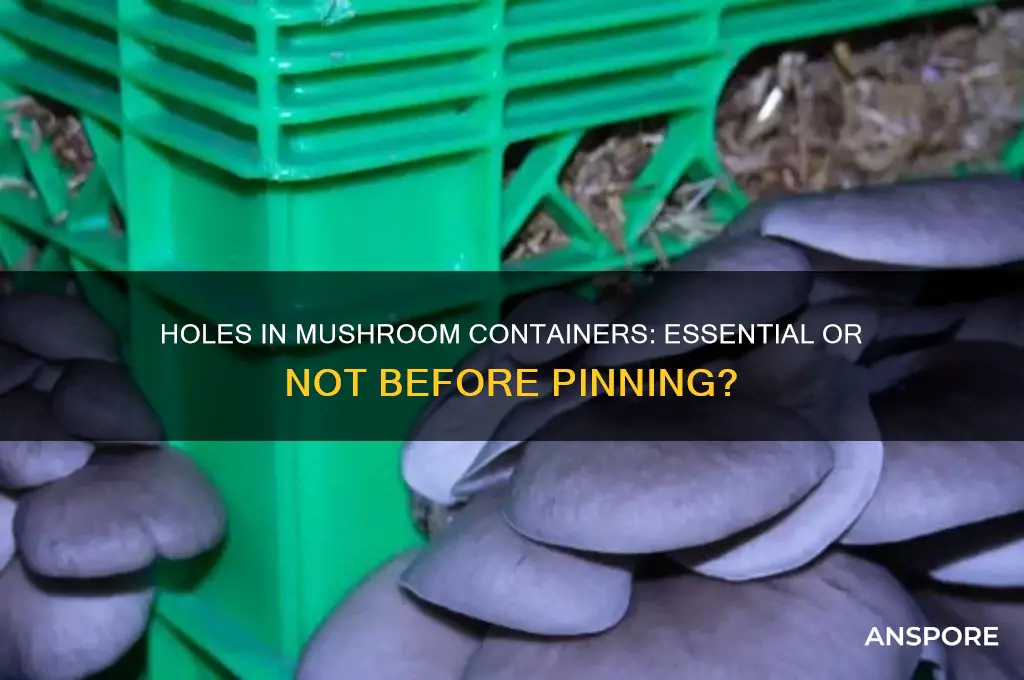 should i have holes in my mushroom container before pinning