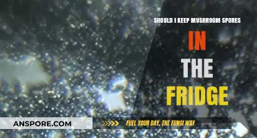 Storing Mushroom Spores: Fridge or Not? Expert Tips for Preservation