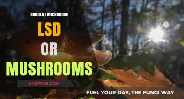 Microdosing LSD vs. Mushrooms: Which Is Right for You?