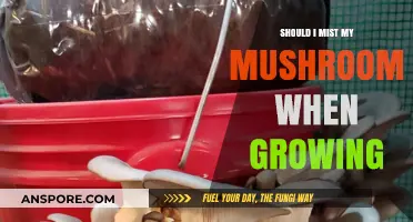 To Mist or Not: Optimal Mushroom Growing Techniques Revealed