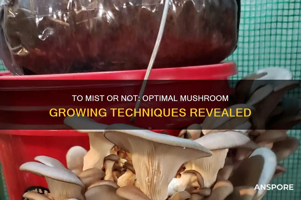 should i mist my mushrooms when growing