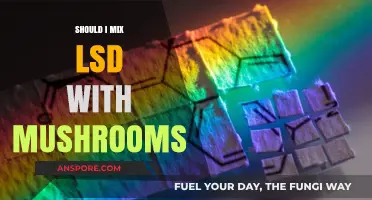 Mixing LSD and Mushrooms: Risks, Effects, and Safety Concerns
